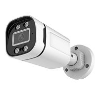 Видеокамера IP 2Mp Arsenal AR-I202A(C) (2.8mm)