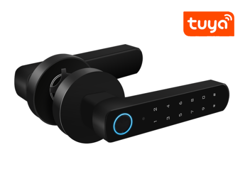 Замок беспроводной умный AR-100BT