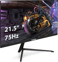 Монитор с аудио 21,5" ExeGate ProSmart EV2207A
