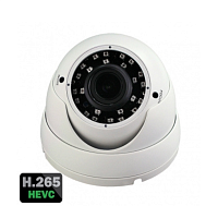 Видеокамера IP 4Mp Arsenal AR-I458 (2.8-12.5mm)