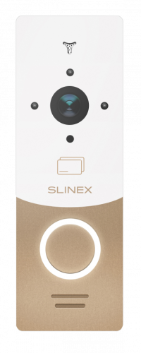 Вызывная панель Slinex ML-20CR G+W AHD К1